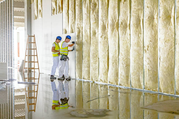 Best Insulation for New Construction  in Norwood, OK